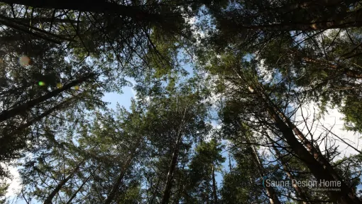 výběr materiálu sauna výběr materiálu sauna