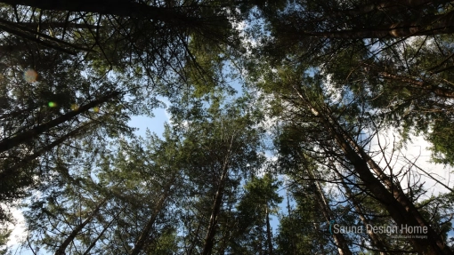 výběr materiálu sauna