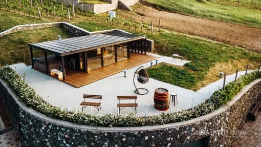 Sauna ve vinohradnictví Sauna ve vinohradnictví